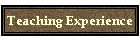 Teaching Experience